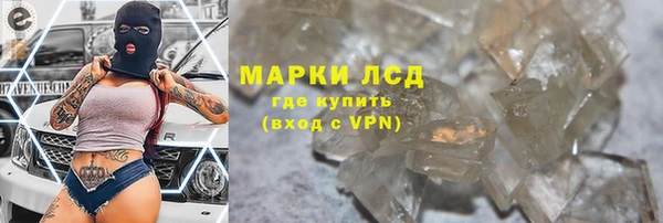 шишки Богородицк