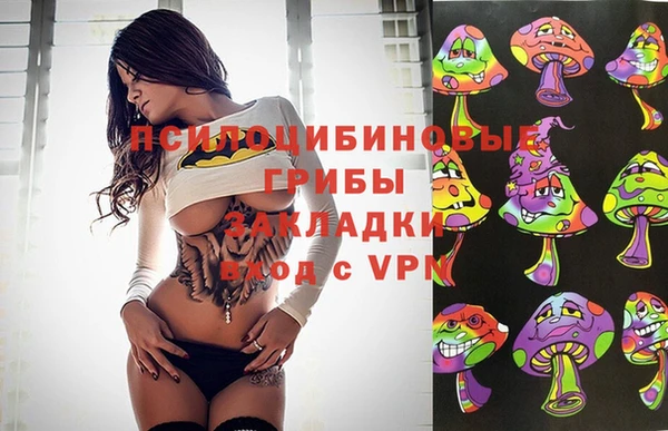 мдма Бородино