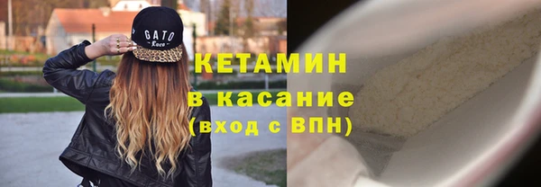 шишки Богородицк