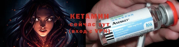 шишки Богородицк