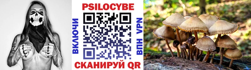 Псилоцибиновые грибы Psilocybine cubensis  Валуйки 